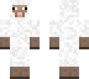 sheep
