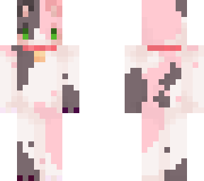 chloe cat 2