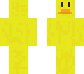 is it a duck, or a chicken?