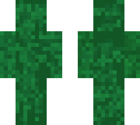 v2 camo guy