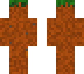 the minecraft guy