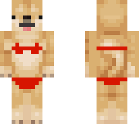 bikini doge