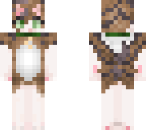 cat - brown and white