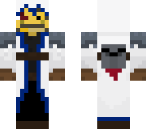 the illager slayer