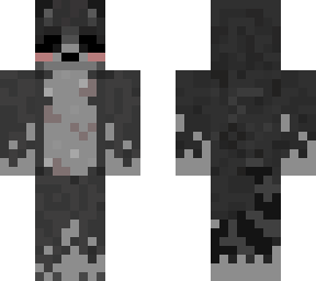 raccoon