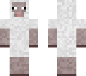 sheep