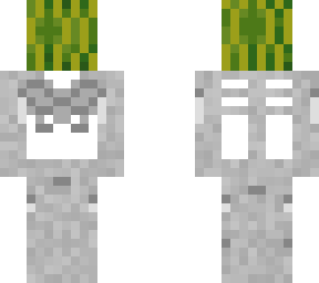 skeleton melon