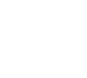 inviseble