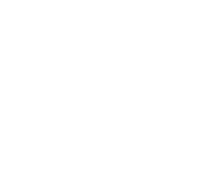 cheetah spots