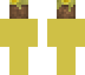 sunflower basket head
