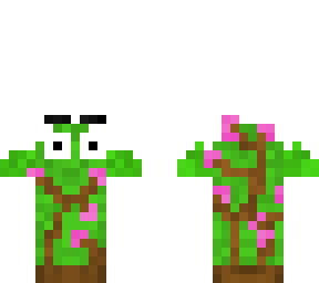 blooming bush