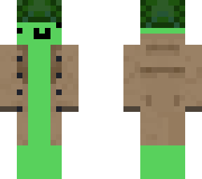 detective turtle