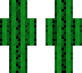 kaktus