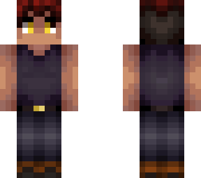 erizo v1