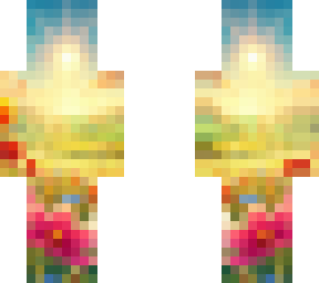 new album!!-the field