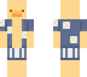 sumer duck