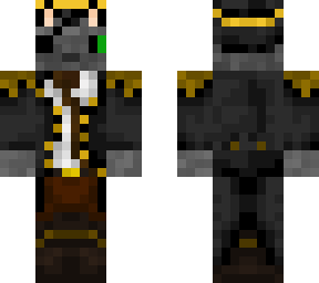 cat pirate