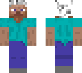 steve of future