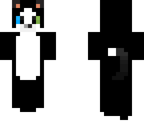 itstheeverydaysonicyt