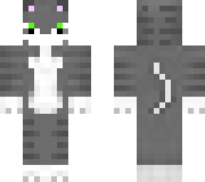 petit chat