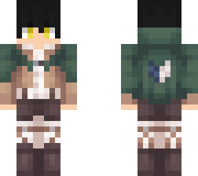 skin 55
