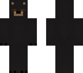 black bear
