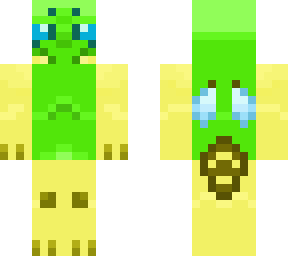 bicolored sweat bee