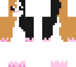 guinea pig