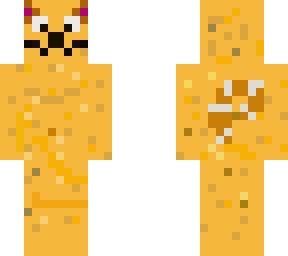 orange cat