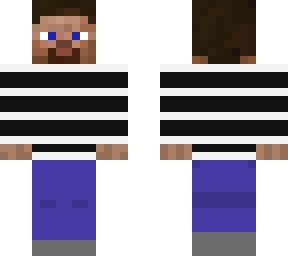 steve jan