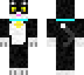cat named oreo