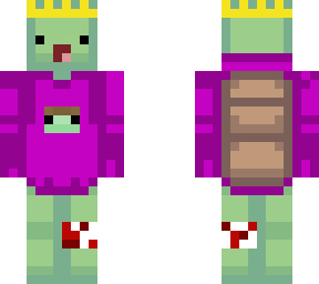 turtle with hoodie