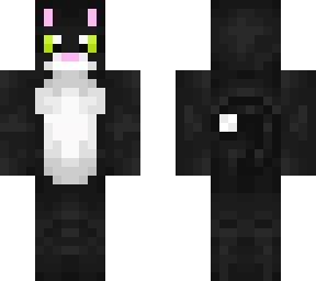 black cat