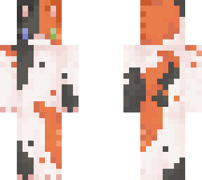 calico cat