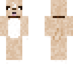 doggy
