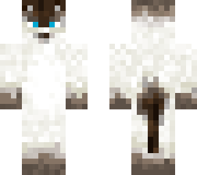 siamese cat