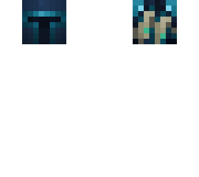 true warden helmet