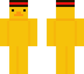 sir duckins