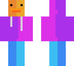 a duck