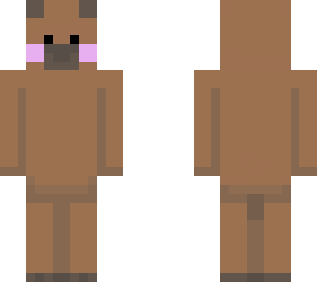 chigui capibara