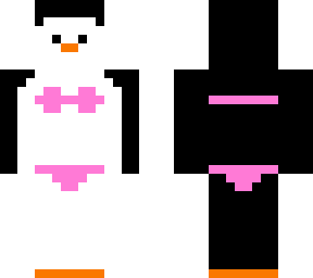 beach penguin