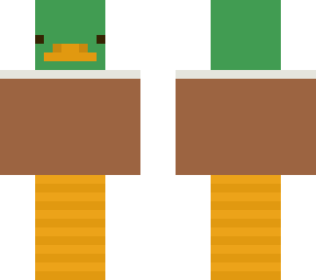 mallard duck
