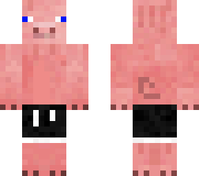 pig finn v2 water