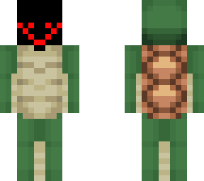 crazy turtle