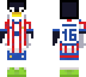 paraguay penguin (#16)