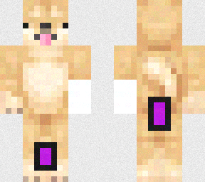 dogge11