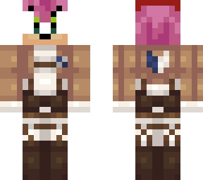 attack on amy
