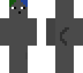 gray mouse