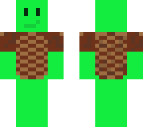 turtles can fly (t.c.f)
