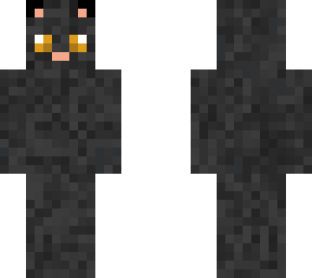 black cat
